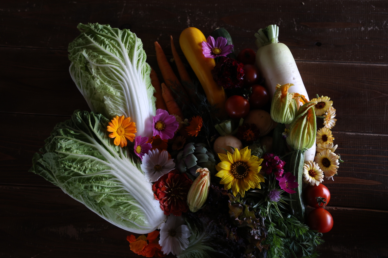 冬野菜の饗宴