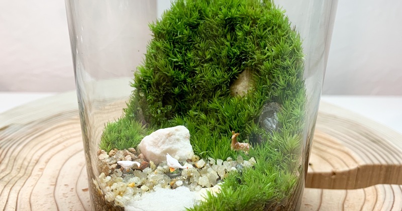 幕張新都心 】壁面緑化編 苔テラリウムワークショップ Feel The Garden