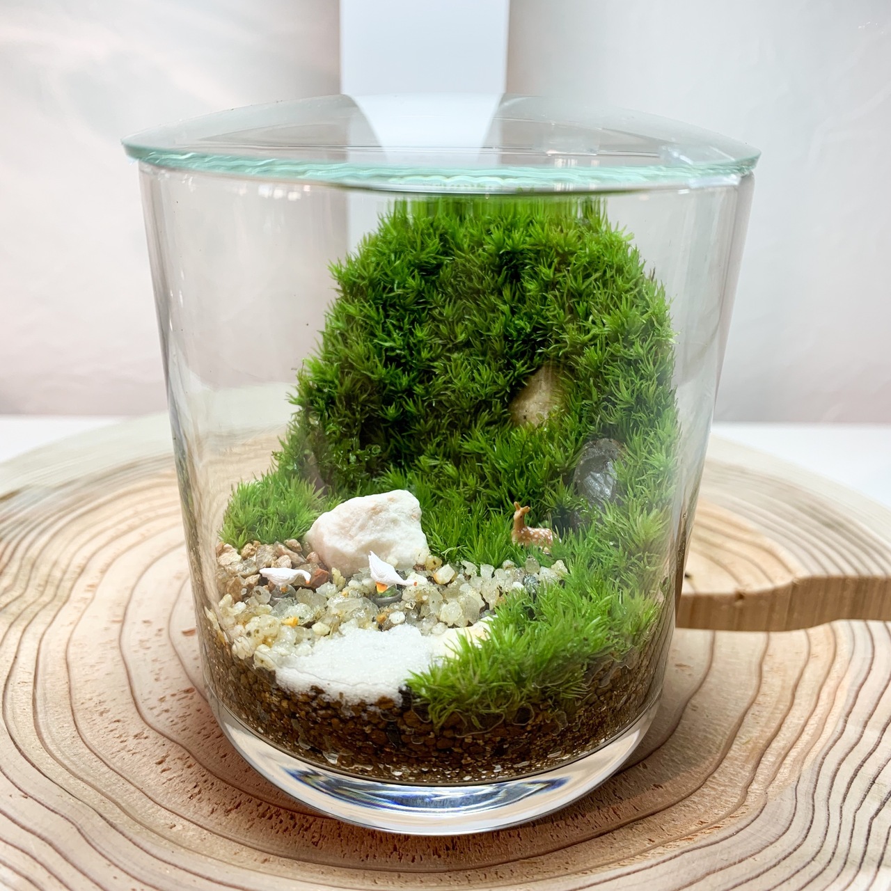 壁面アート　苔テラリウム 幕張新都心 】壁面緑化編 苔テラリウムワークショップ Feel The Garden