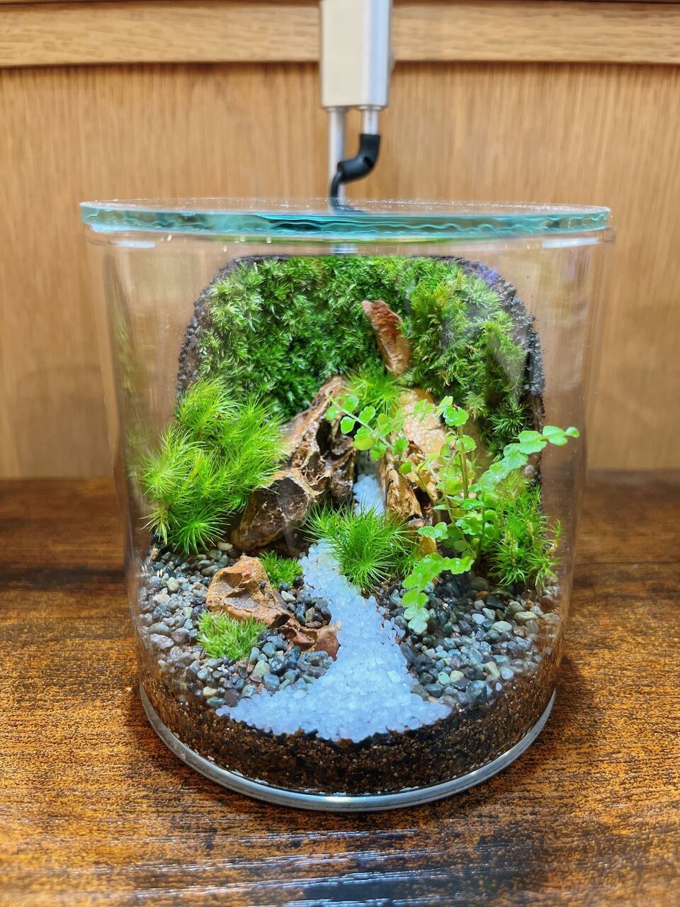 幕張新都心 】壁面緑化編 苔テラリウムワークショップ Feel The Garden