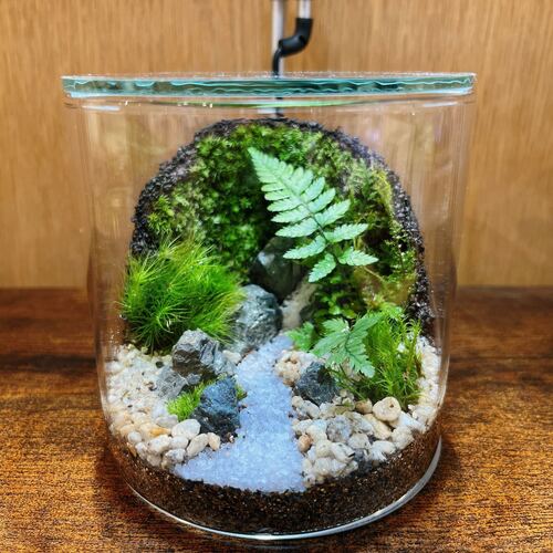 幕張新都心 】壁面緑化編 苔テラリウムワークショップ Feel The Garden