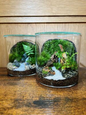 【 幕張新都心 】壁面緑化編　苔テラリウムワークショップ　Feel The Garden