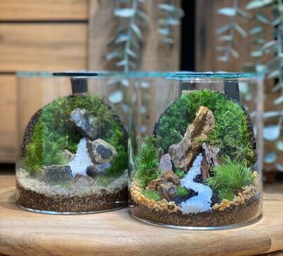 【 幕張新都心 】壁面緑化編　苔テラリウムワークショップ　Feel The Garden