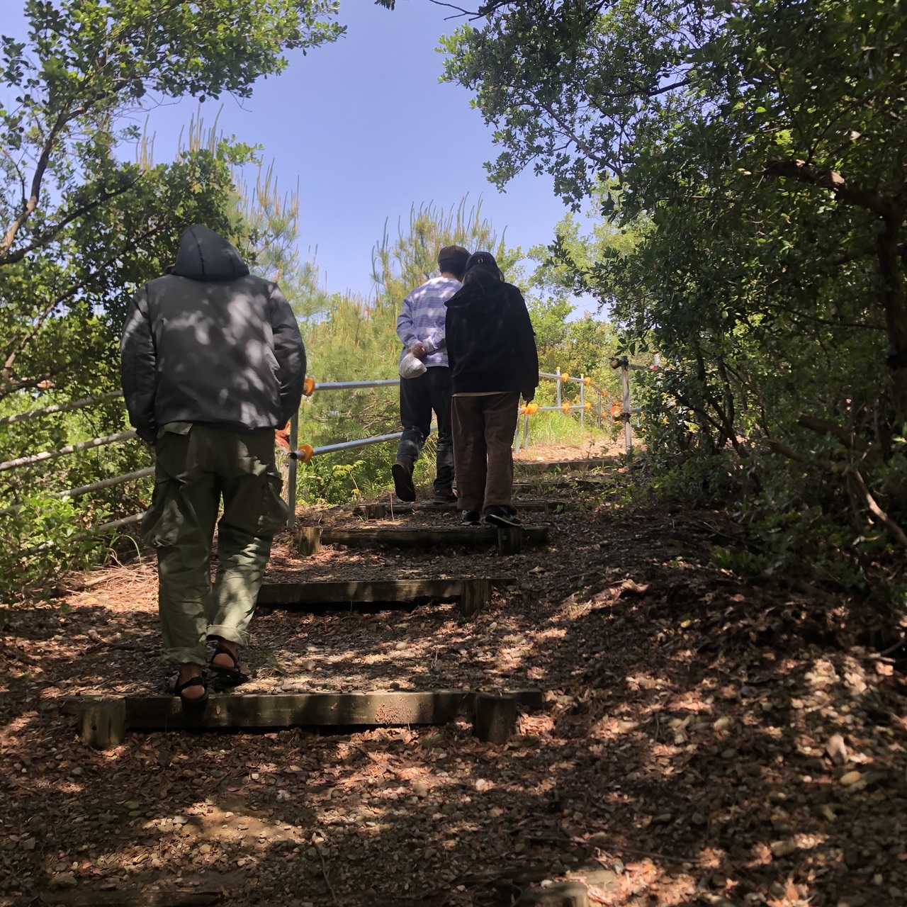 深層心理リトリート 裸足｜1日集中カウンセリング・自然療法