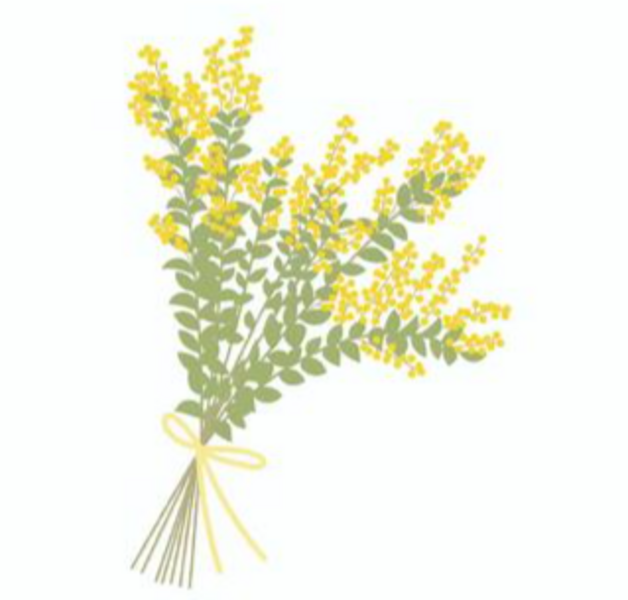 ミモザのワークショップ