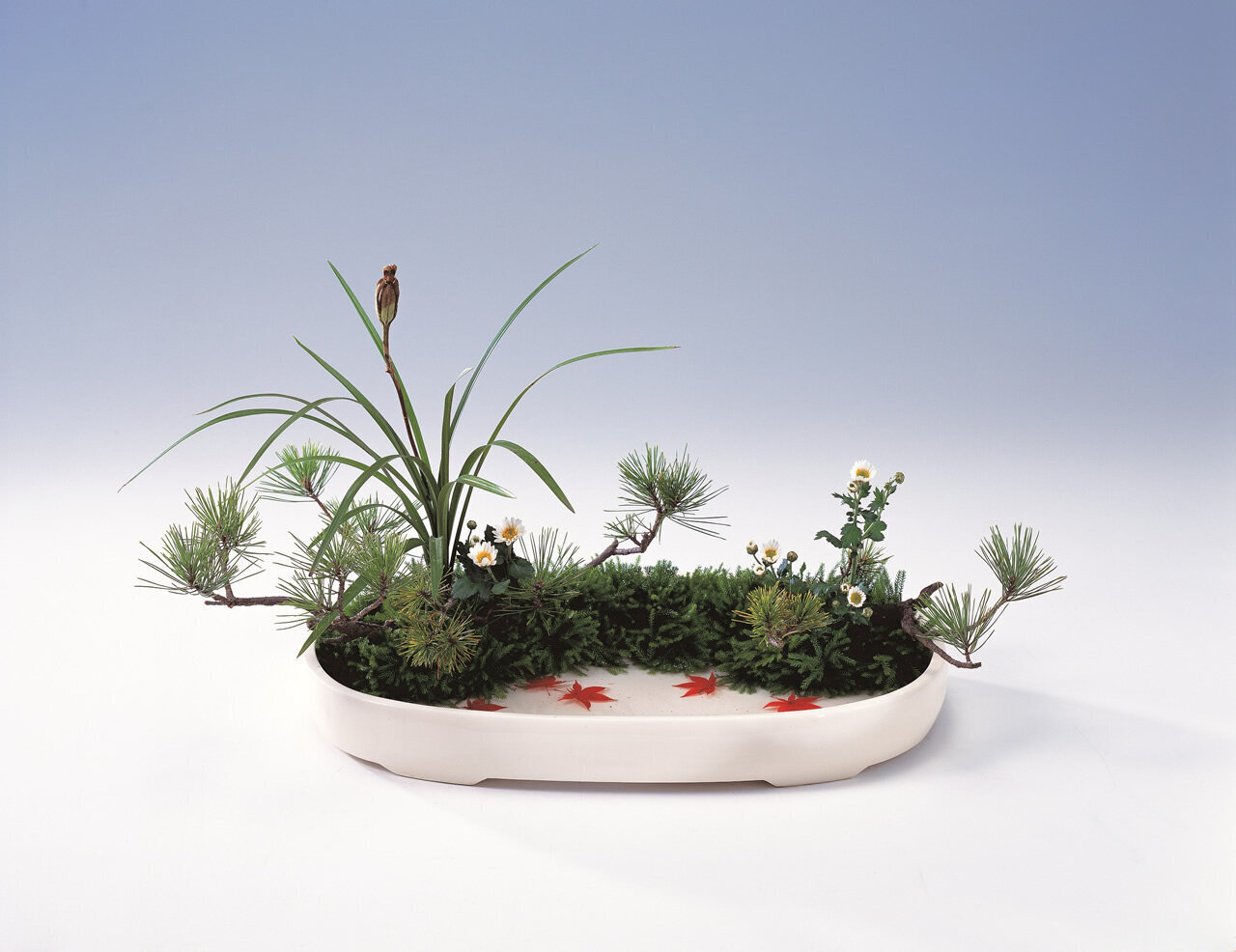 【小原流単位取得レッスン（他CLASS入門生も可）】担当：小原流幹部講師 南谷文乃　