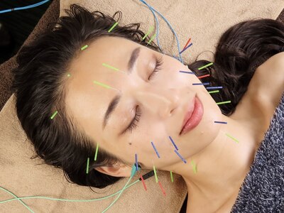 茶沢Labo  予約サイト🐶