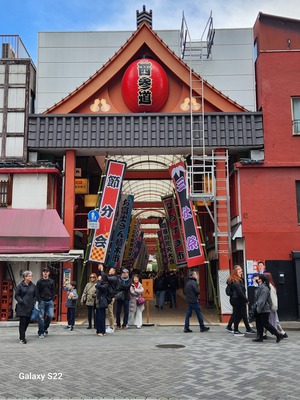 Explore Edo with a Rickshaw, and Pulling Experience!