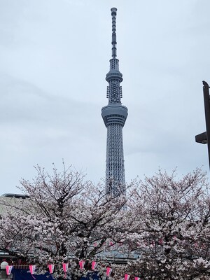 Explore Edo with a Rickshaw, and Pulling Experience!