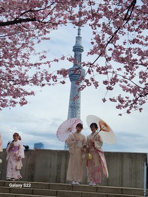 Explore Edo with a Rickshaw, and Pulling Experience!