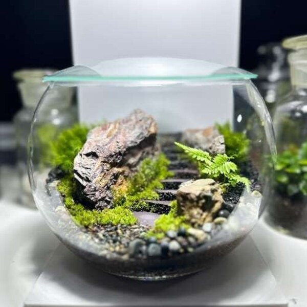 【 宮崎】<石段の風景編> 苔テラリウムワークショップ 【サンパーク都城店】