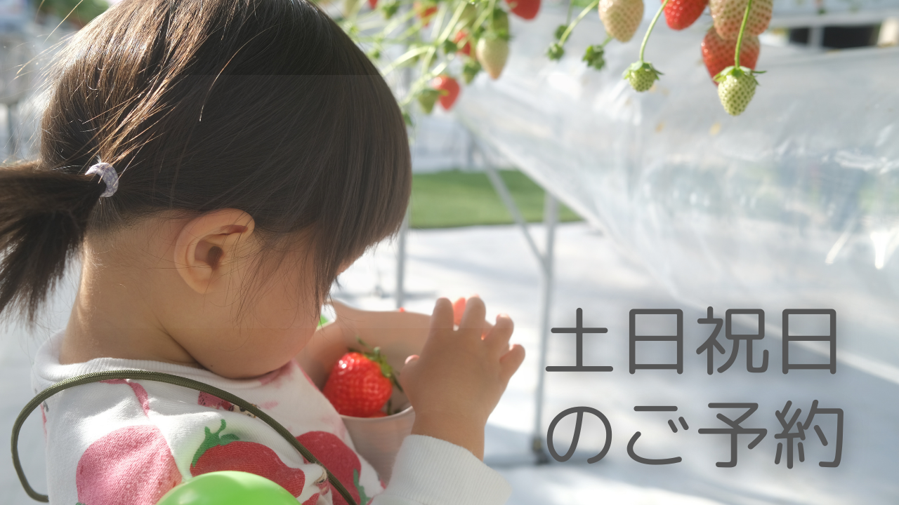 【土日祝日】いちご狩り体験４５分／贅沢ハウス１棟１組貸切