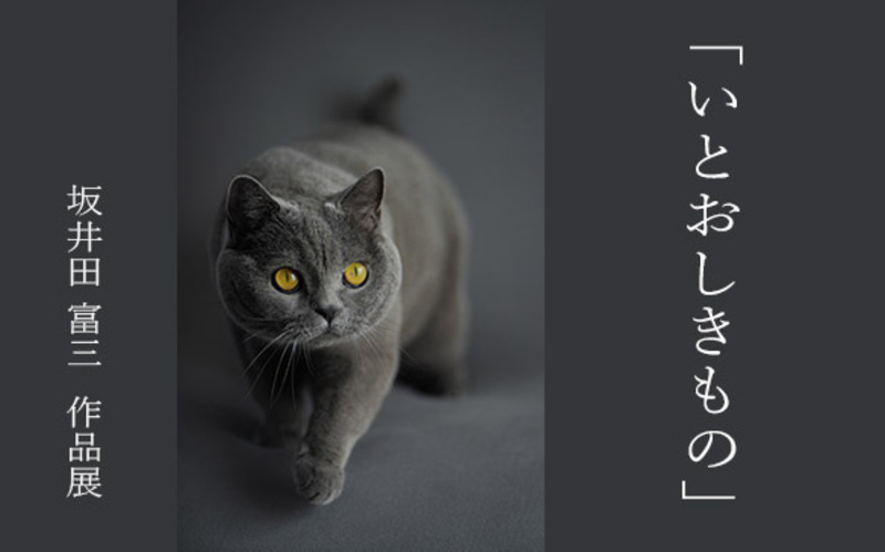 写真家　坂井田 富三氏によるカメラ、レンズ体験購入相談会