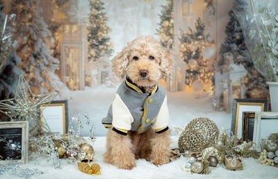 【今ならお得なキャンペーン実施中！】モニター撮影♪　なんと通常価格の6０％FF！！