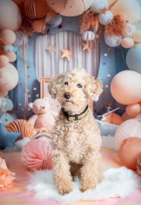 【今ならお得なキャンペーン実施中！】モニター撮影♪　なんと通常価格の6０％FF！！