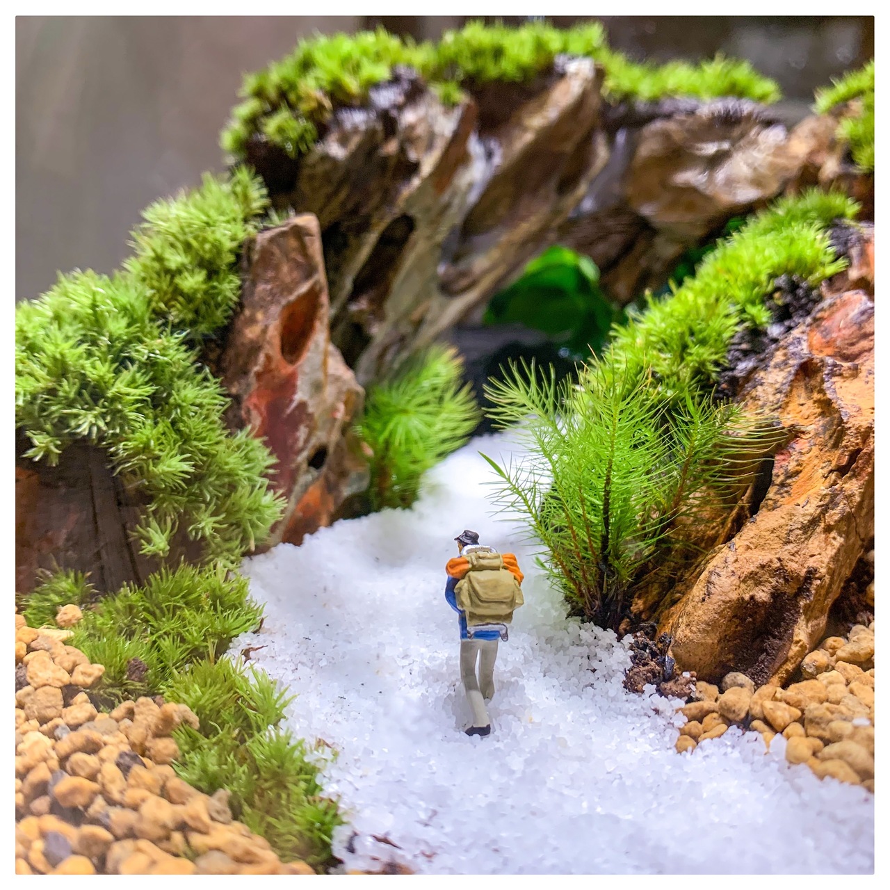 【宮崎】苔テラリウムクリエイターコース出張教室説明会【サンパーク都城店】