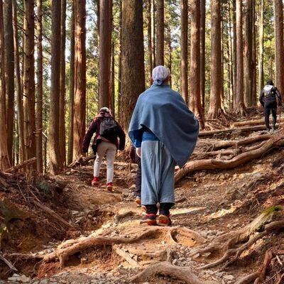 【春野ネイチャー体験】 ライトな体験からディープなリトリートまで