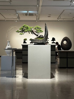 【東京・練馬】墨と木の美しさを風景に…インテリア書道と情景盆栽　5/23(土)