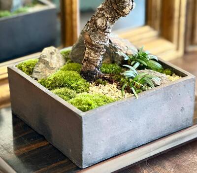 【東京・練馬】墨と木の美しさを風景に…インテリア書道と情景盆栽　5/23(土)