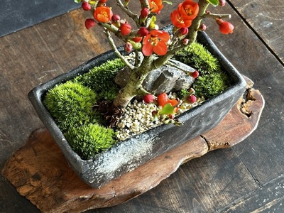 【東京・練馬】墨と木の美しさを風景に…インテリア書道と情景盆栽　5/23(土)