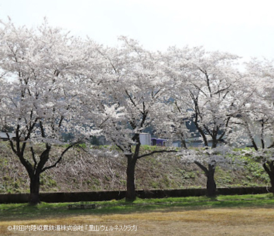 【全10回】里山さんぽ 歩いて食べて元気に！健康づくり習慣 内陸線ウェルネスパス募集（企画R7-01）5000円コース