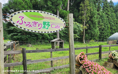 【全10回】里山さんぽ 歩いて食べて元気に！健康づくり習慣 内陸線ウェルネスパス募集（企画R7-01）5000円コース
