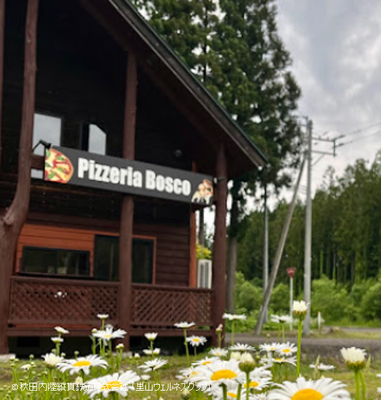 【全10回】里山さんぽ 歩いて食べて元気に！健康づくり習慣 内陸線ウェルネスパス募集（企画R7-01）5000円コース