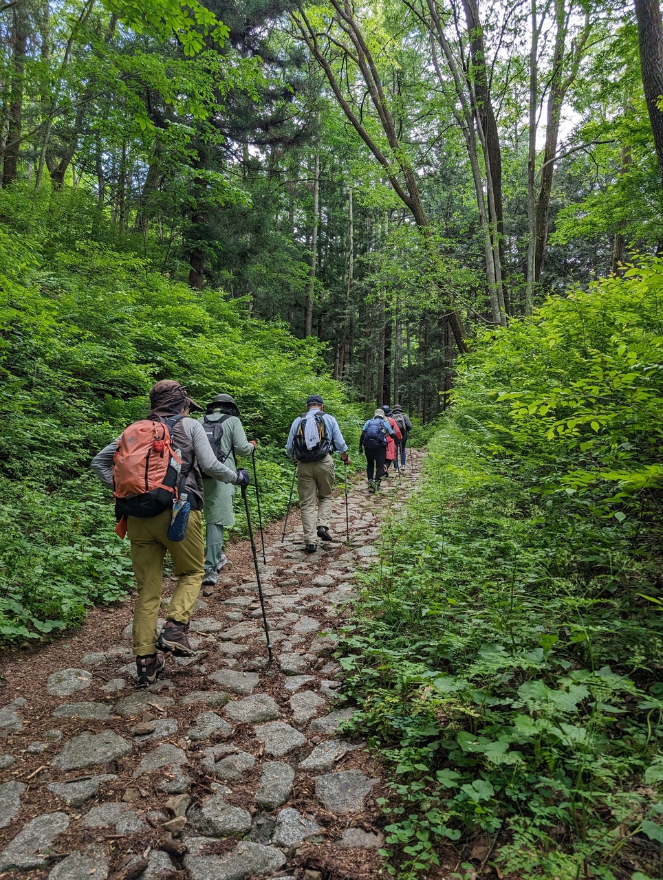コース番号6321　和田峠と鳥居峠ハイキング 2日間