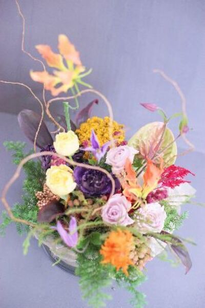 11月体験レッスン