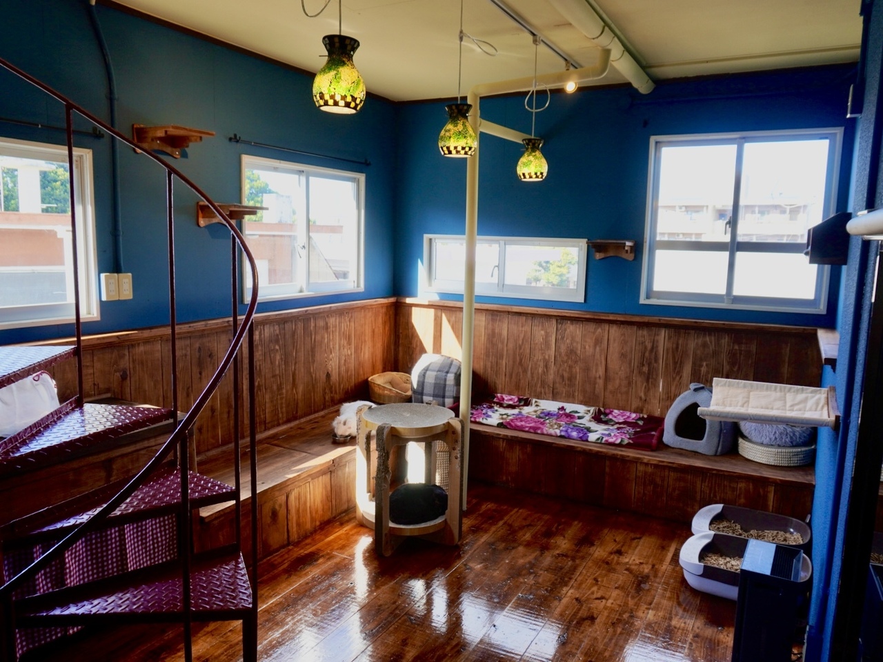 [ねことの暮らし体験型のお部屋] Omoya