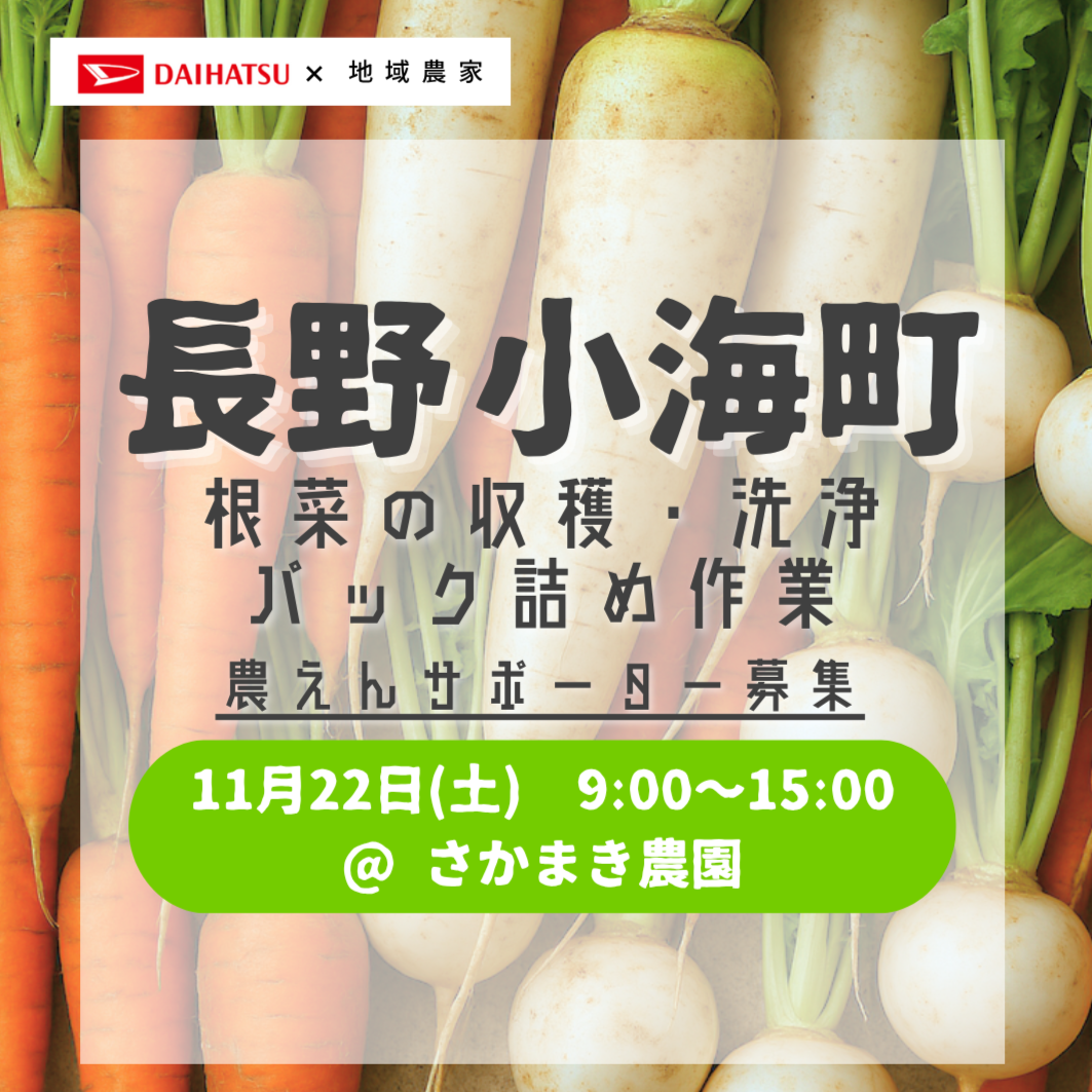 【援農/長野】2025年11月22日（土）根菜の収穫・洗浄・パック詰め作業/さかまき農園