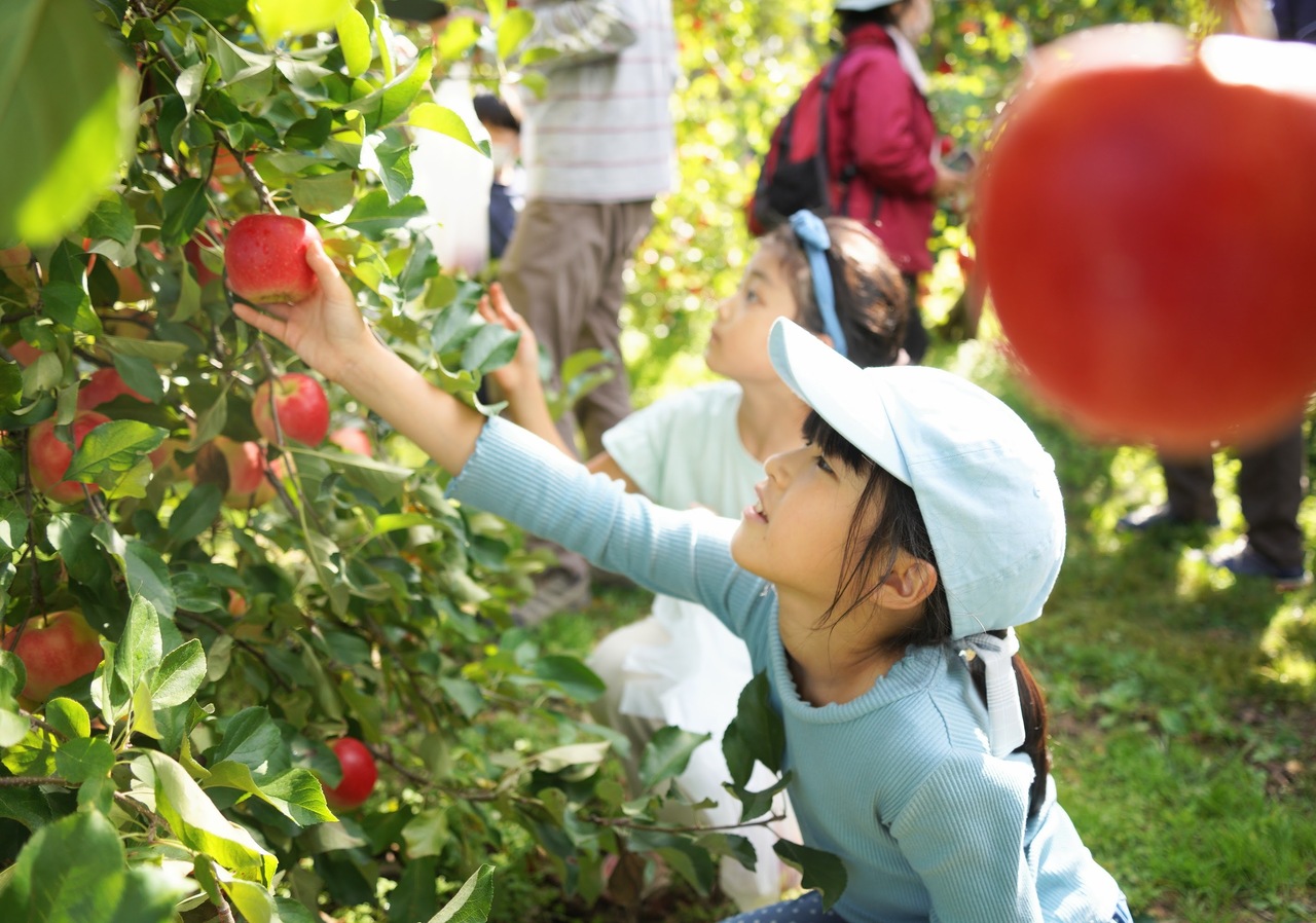 トットちゃんの遠足＆りんご狩り
