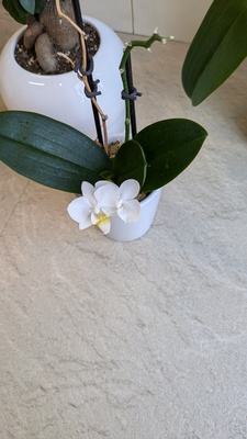 ご予約メニュー