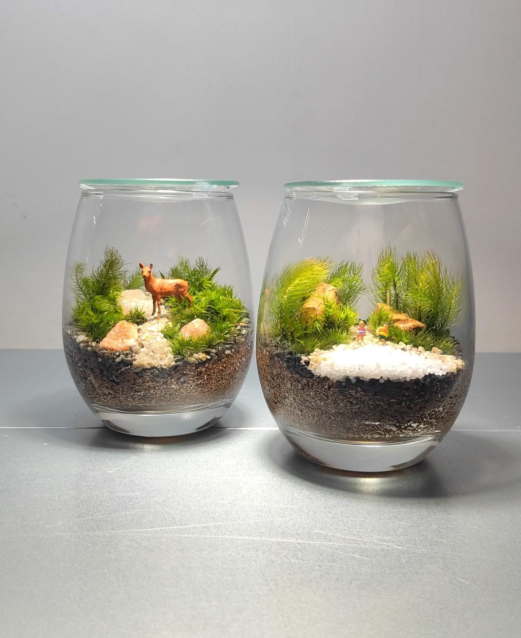 「予約制」インテリアに映える苔テラリウム ワークショップ「Feel The Garden」