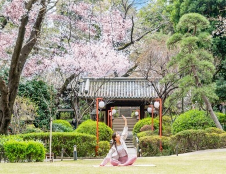 【高輪 桜まつり2026】SAKURA morning YOGA（会員さま ご予約ページ）