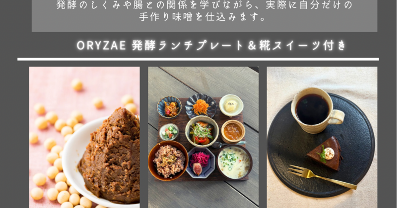 2026年 3月 お味噌味噌作りWS✖️発酵腸活講座
