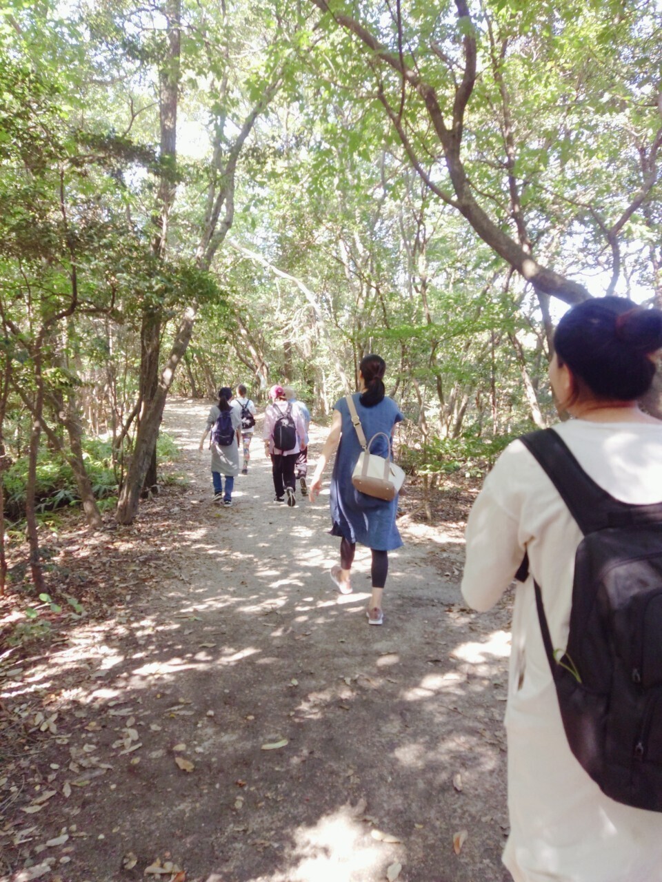 12 月10日(水)安産ウオーキング@東山公園