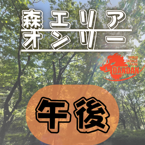 森エリアオンリー午後