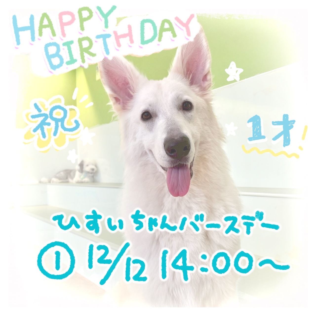 ã12/12ðç¿¡ç¿ ããŒã¹ããŒäºçŽðãããµããµã¿ã€ã 60åã1ããªã³ã¯ä»ãã