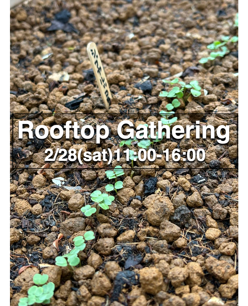 Rooftop Gathering 「春蒔き・春待ち、蠢く妄想パーティー」2/28（土）11：00-16：00