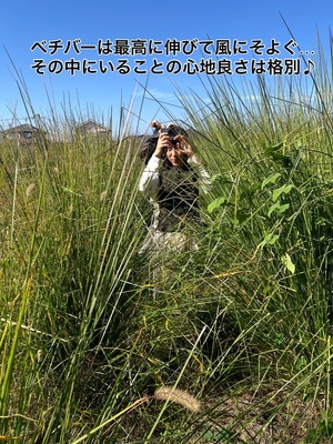 ベチバー畑散策　￥11.000ー       非売品ベチバーウォーターお土産・ランチ・.ベチバードリンク付き　