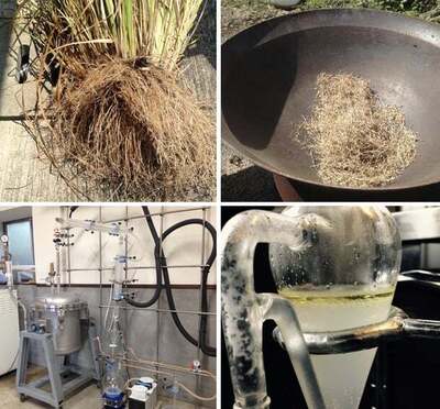 ベチバー畑散策　￥11.000ー       非売品ベチバーウォーターお土産・ランチ・.ベチバードリンク付き　