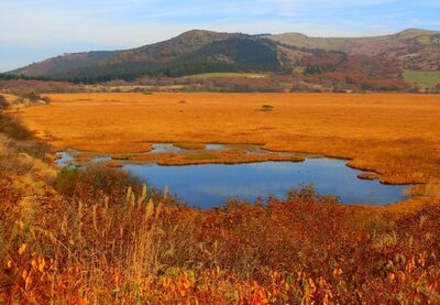 コース番号5211【下諏訪温泉 前泊】夏の霧ヶ峰を満喫♪八島湿原 と 車山ハイキング