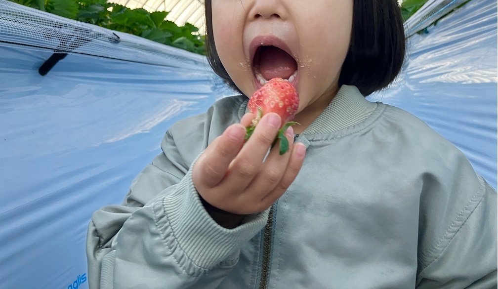 あまおうの食べ放題