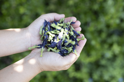 チクチク手仕事〜pauseなわたし時間〜WSー2025.8.31ー