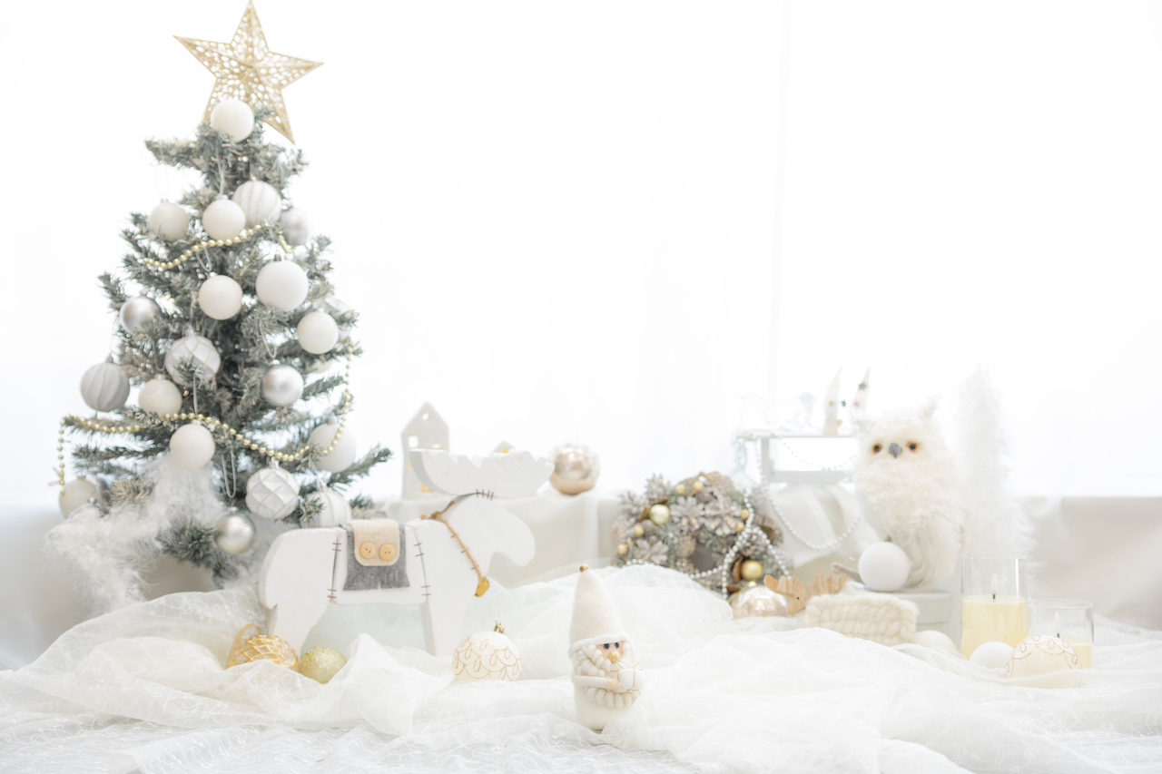 ❄️【11/30-12/4】クリスマス撮影会