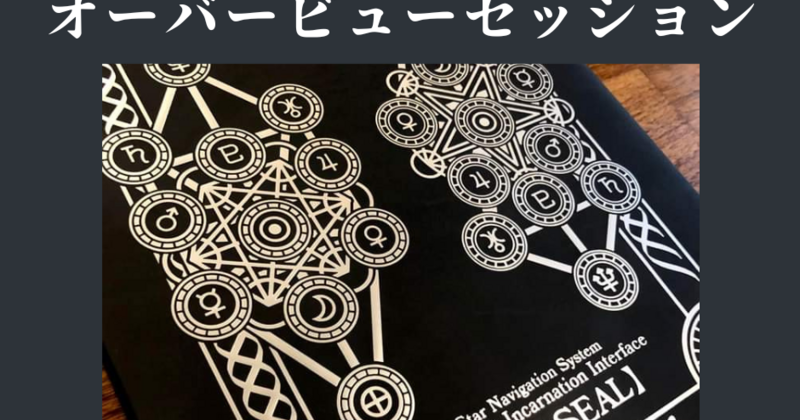 【極美品・書き込みなし】GOD SEAL ゴッドシール 3冊セット 黒羽さえり著 通年仕様【GOD SEAL-ゴッドシール-】Star Navigation System Moonshot