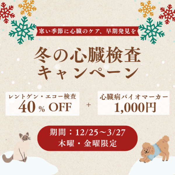 【木曜・金曜日限定】心臓検査プラン（2026年3月27日まで）