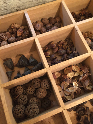 ナチュラルスタイル・クリスマスリースレッスン2025