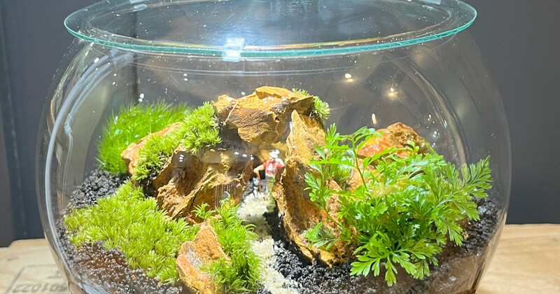 後楽園】岩山編 GreenBottle